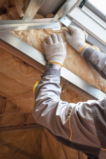Professional Insulation Contractor in South Charleston, WV